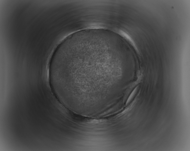 X0000089341419200706290952