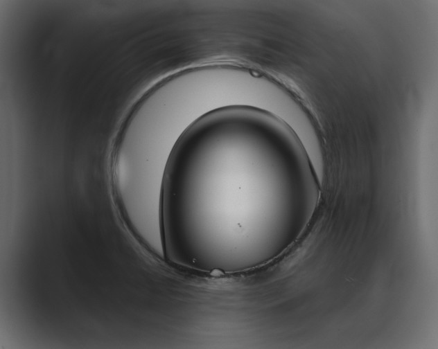 X0000089341422200706290952