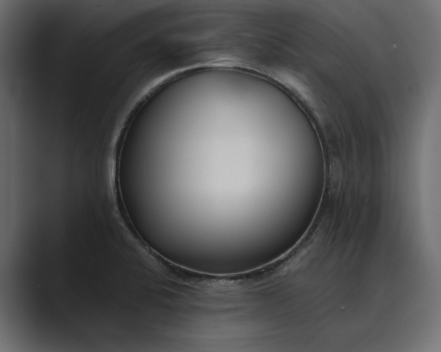 X0000089341424200706290952