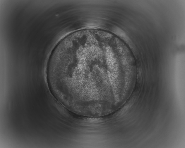 X0000089341427200706290952