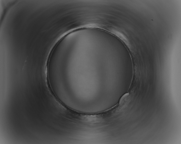X0000089341428200706290952