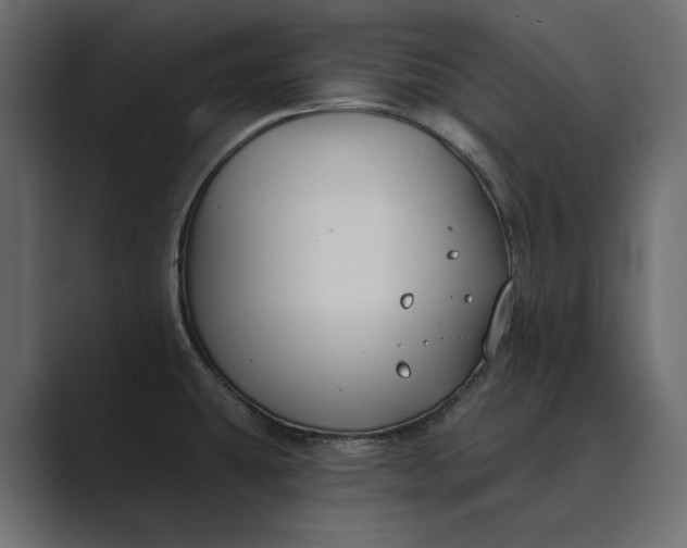 X0000089341431200706290952