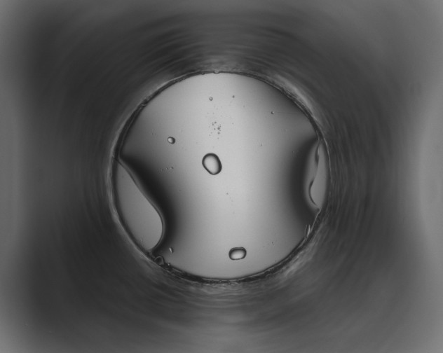 X0000089341434200706290952