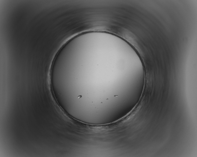 X0000089341436200706290952