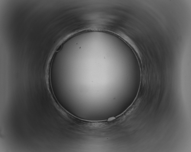 X0000089341437200706290952