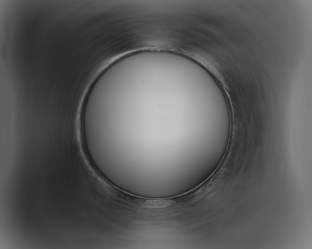 X0000089341440200706290952