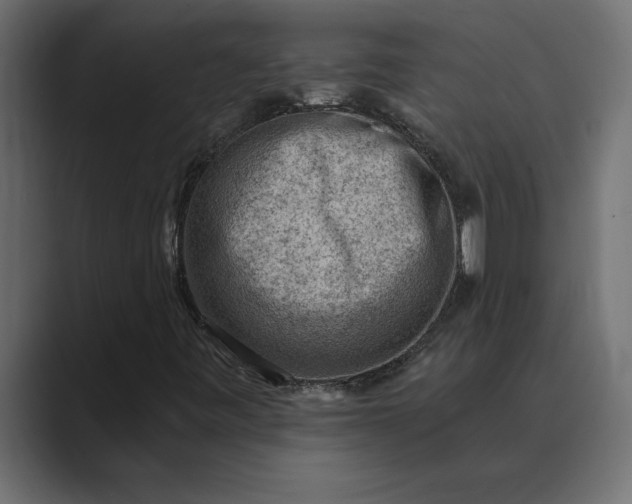 X0000089341443200706290952