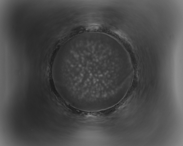 X0000089341445200706290952