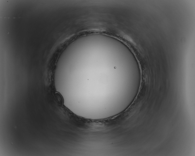 X0000089341448200706290952