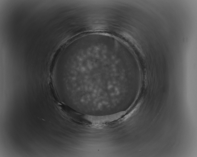 X0000089341449200706290952