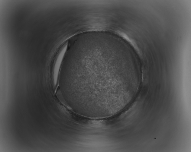 X0000089341453200706290952