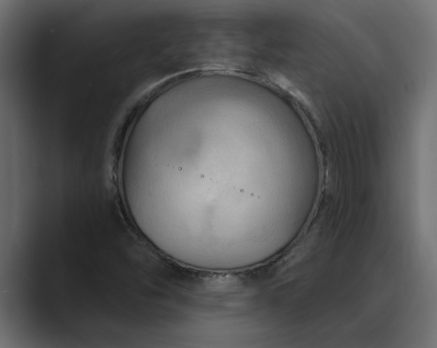 X0000089341454200706290952