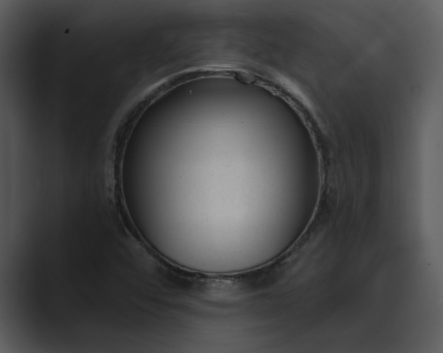 X0000089341456200706290952