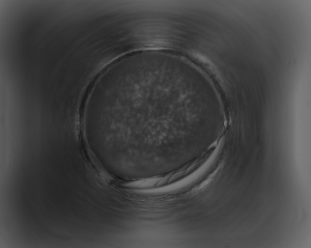 X0000089341457200706290952