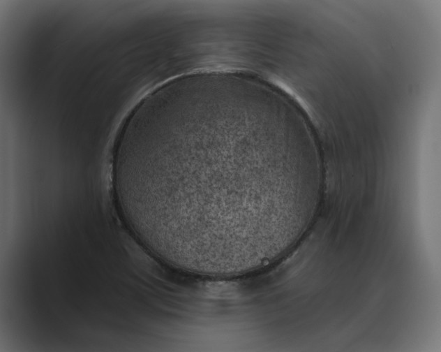X0000089341459200706290952