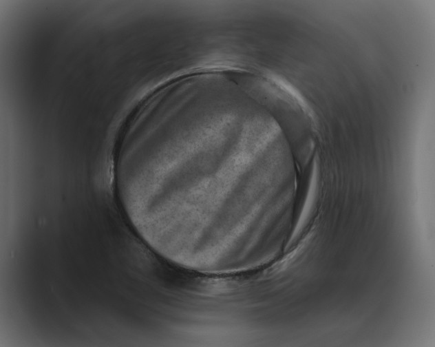 X0000089341461200706290951