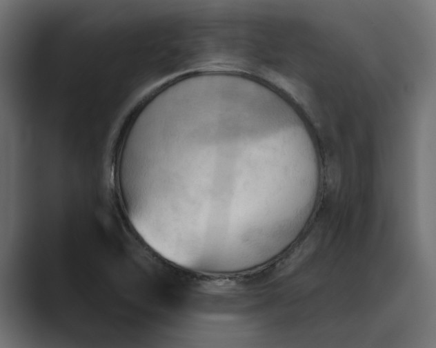 X0000089341462200706290951