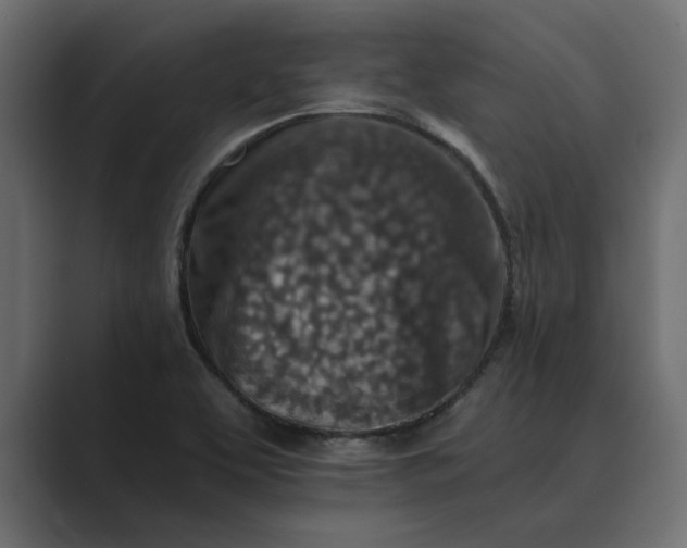 X0000089341463200706290951