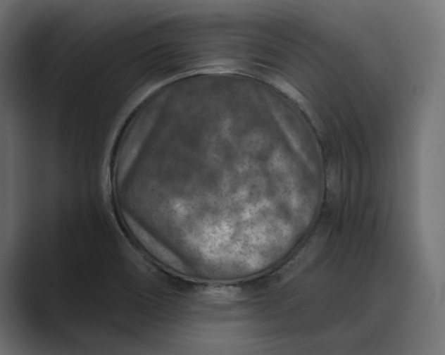 X0000089341466200706290951