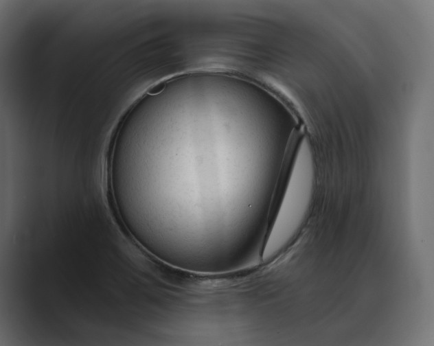 X0000089341467200706290951