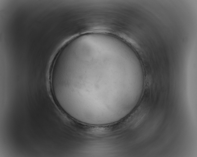 X0000089341470200706290951