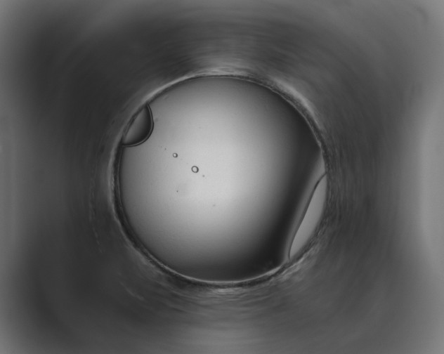 X0000089341471200706290951
