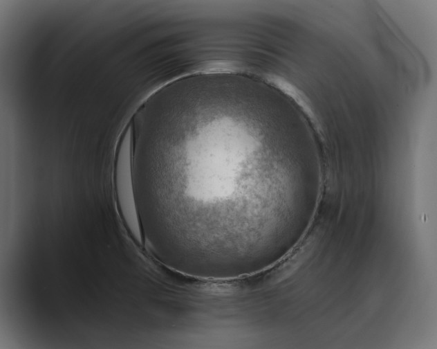 X0000089341473200706290951