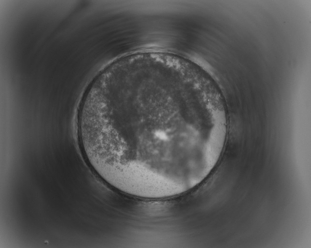 X0000089341474200706290951