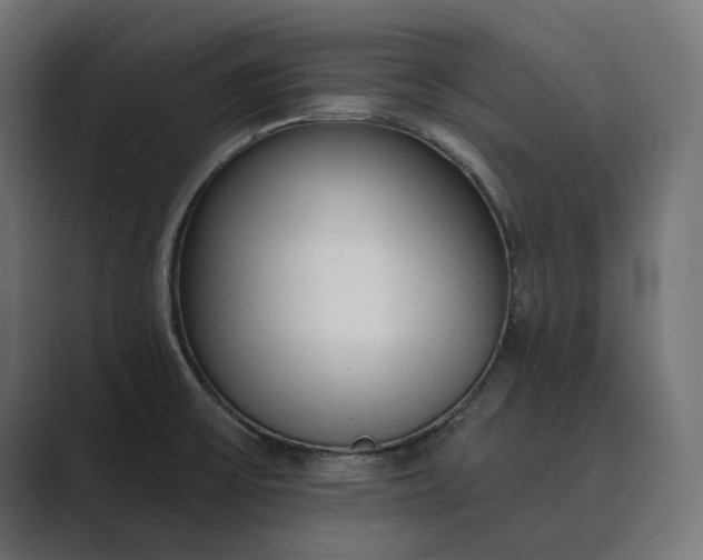 X0000089341475200706290951
