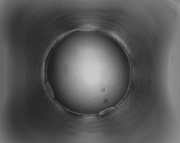 X0000089341477200706290951