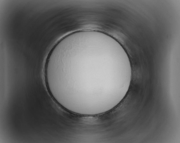 X0000089341478200706290951