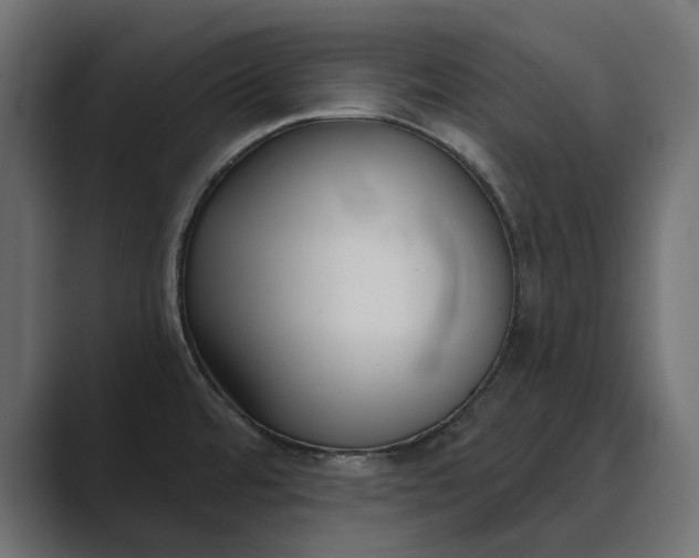 X0000089341480200706290951