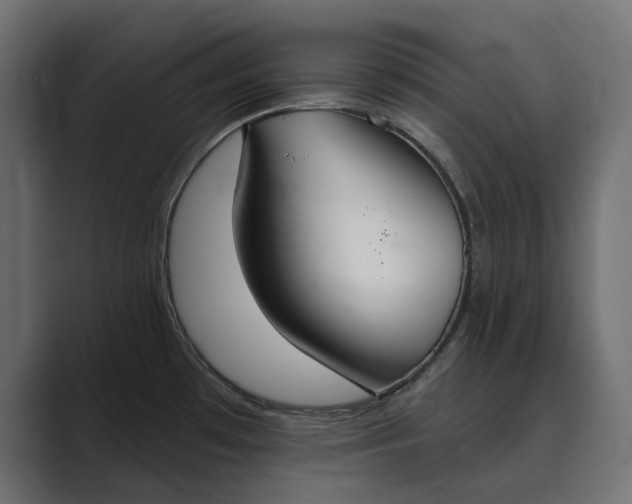 X0000089341481200706290951