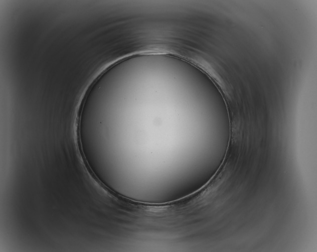 X0000089341484200706290951