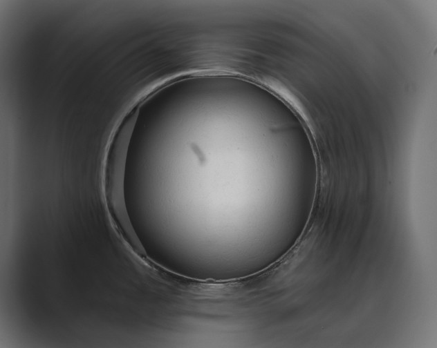 X0000089341485200706290951