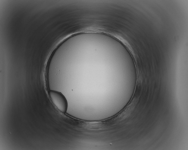 X0000089341486200706290951