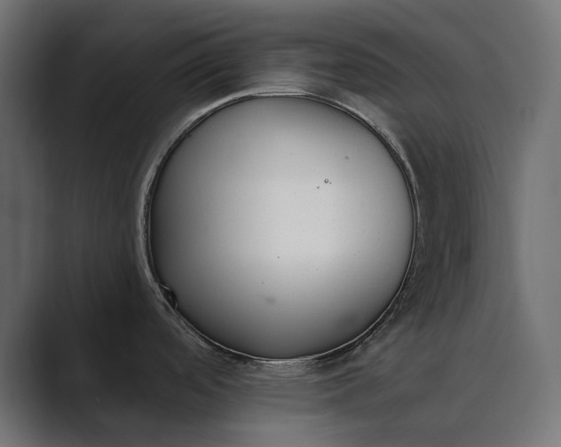 X0000089341488200706290951