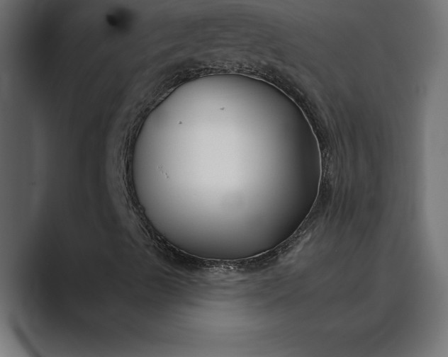X0000089341489200706290951
