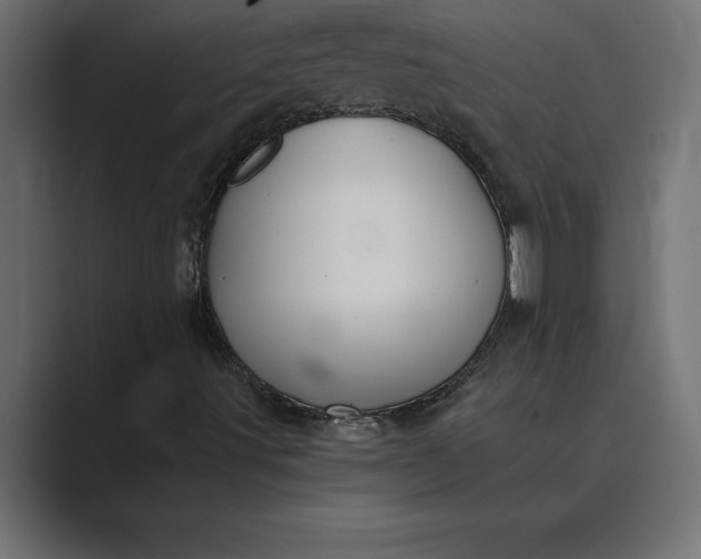 X0000089341491200706290951
