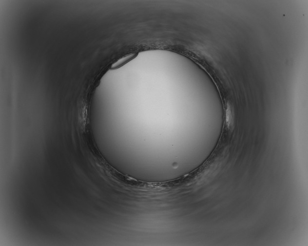 X0000089341492200706290951