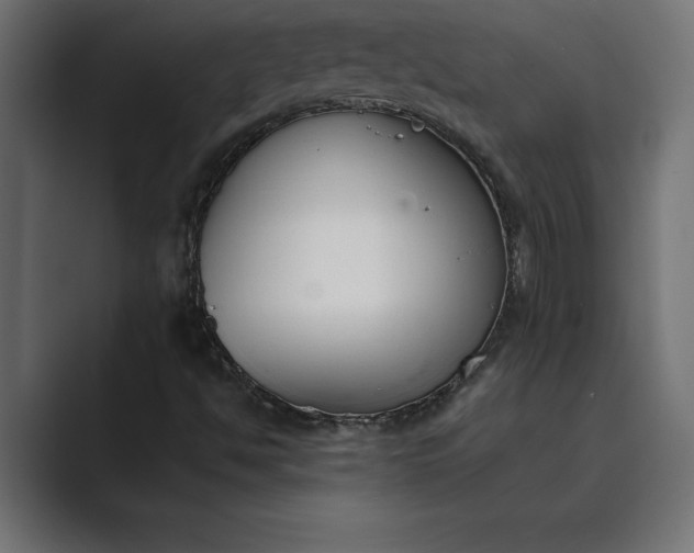 X0000089341494200706290951