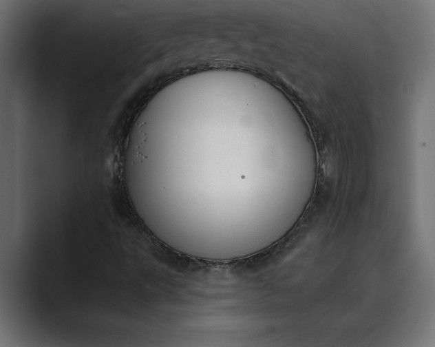 X0000089341495200706290951