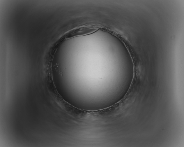 X0000089341496200706290951