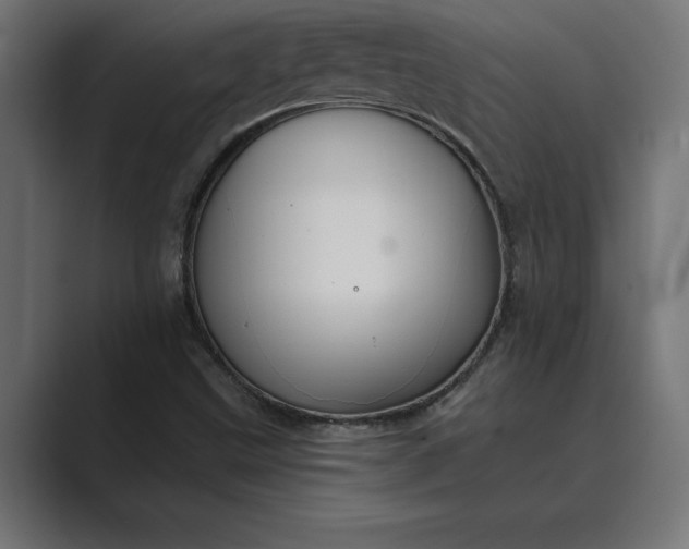 X0000089341499200706290951