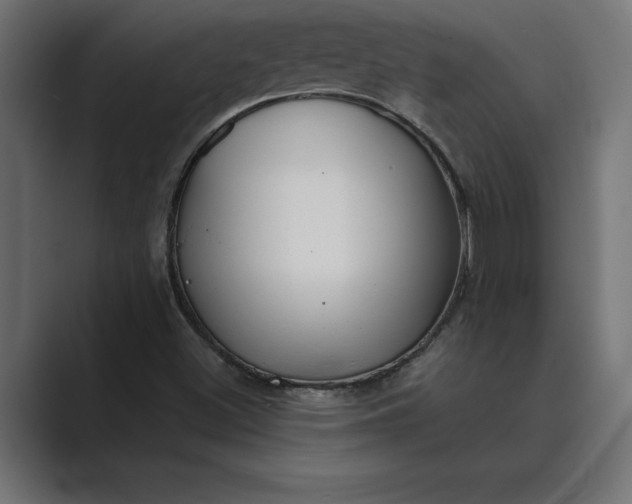 X0000089341500200706290951
