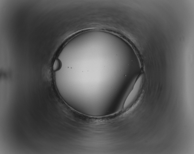 X0000089341501200706290951