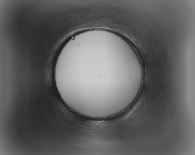 X0000089341502200706290951