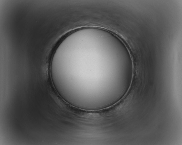 X0000089341503200706290951