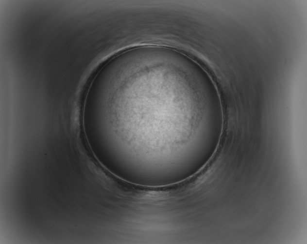 X0000089341506200706290951