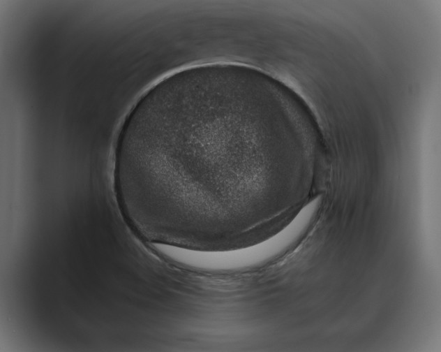 X0000089341508200706290951